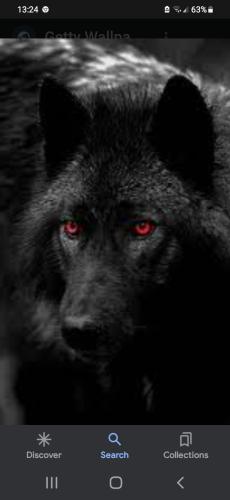 Screenshot_20230114-132408_Google