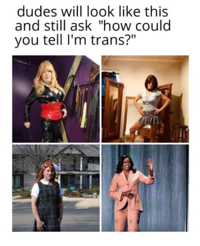 transgender301