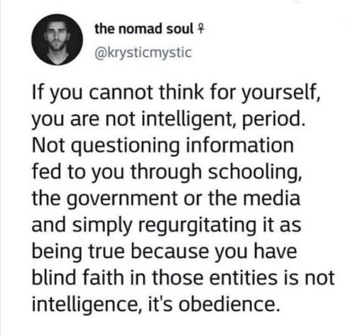 Intelligence 1