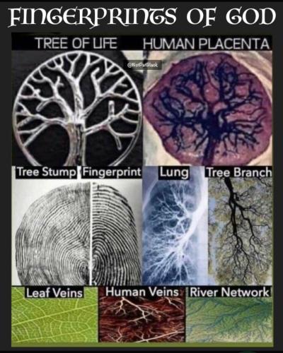 Screenshot_20230418_185850_Chrome