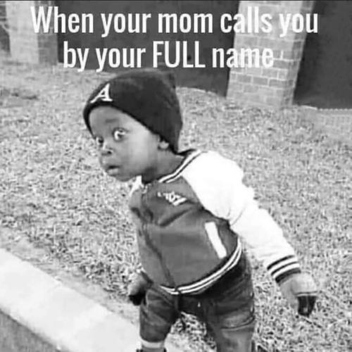 FB_IMG_1681403073413