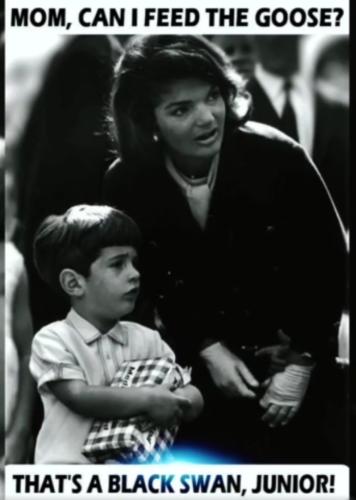 Screenshot_20230409_130946_Rumble