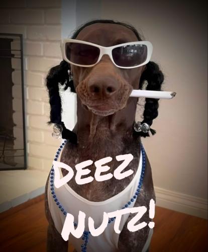 Polish_20230425_183735182