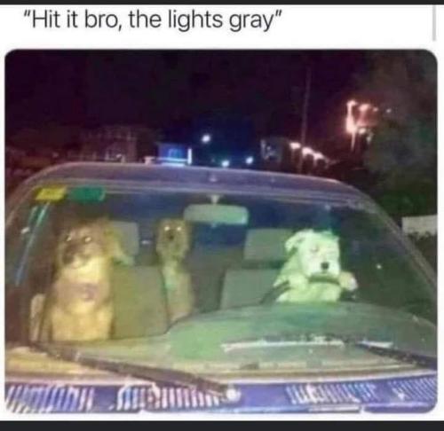 343117385_541906228135801_3414965286019556062_n