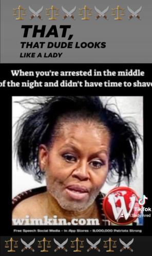 Screenshot_20230423_142359_TikTok