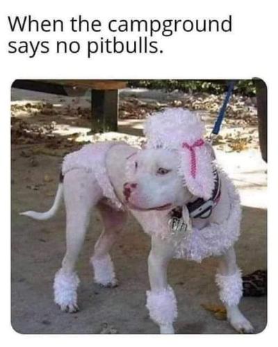 FB_IMG_1680974400082