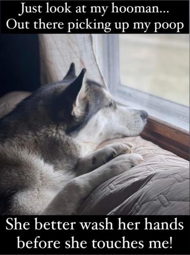 FB_IMG_1680917031322