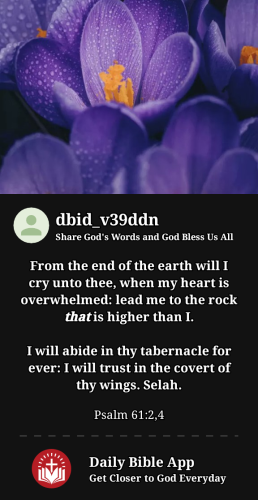 2023-04-151681612642344