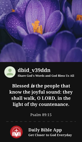 2023-04-261682565082543