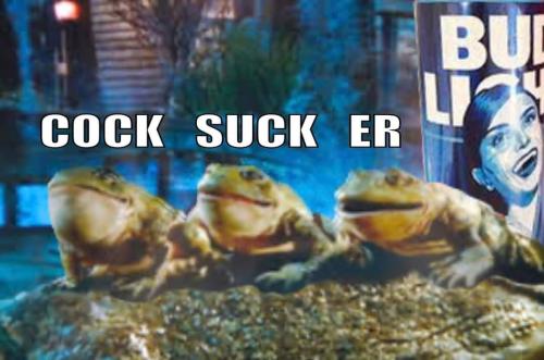 FB_IMG_1680791159134