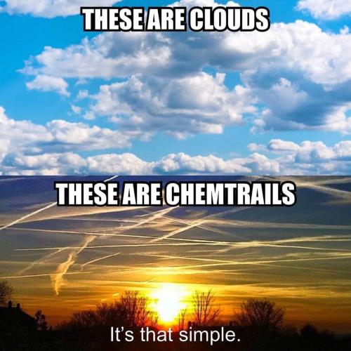 not clouds