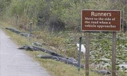 340520885_962395154774753_2807896095890014268_n