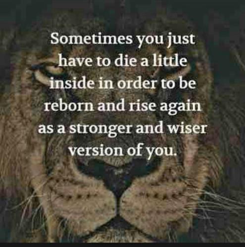 Screenshot_20230418_100323_YouTube