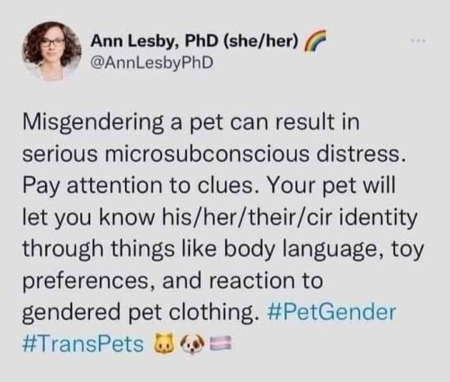 misgendering pets