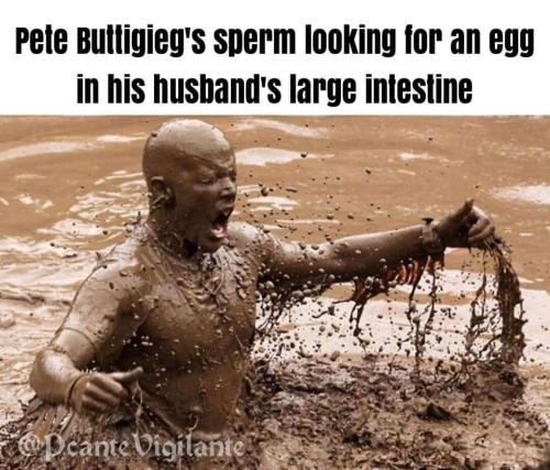 FB_IMG_1681142878656