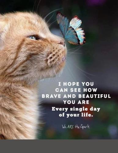 IMG_20230407_031745_704