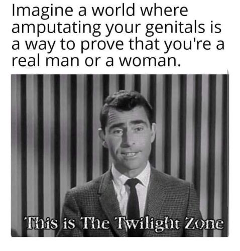 FB_IMG_1681394284983