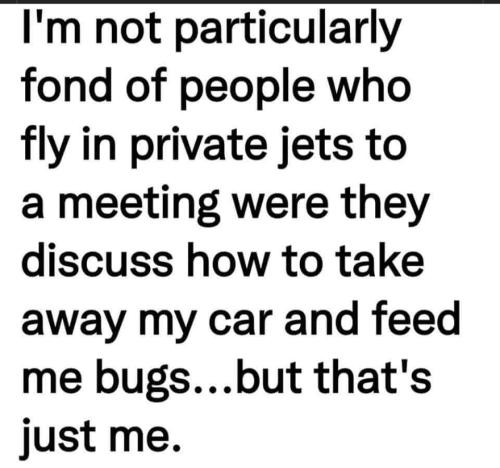 i am not particularly fond