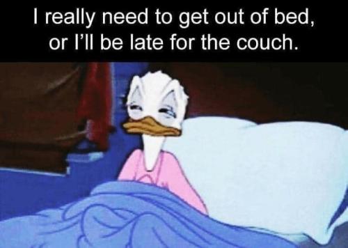 342548083_233546615927424_8229075869062750502_n