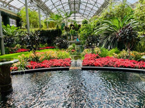 8B072720-6640-43B2-88B4-87227C9D95C5