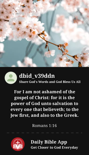 2023-04-121681343187385