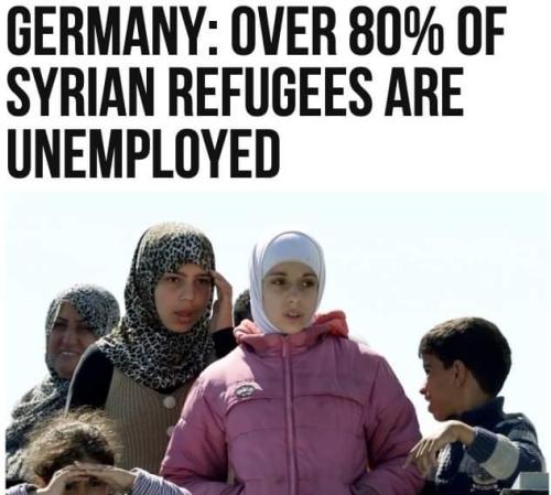 FB_IMG_1680795201631