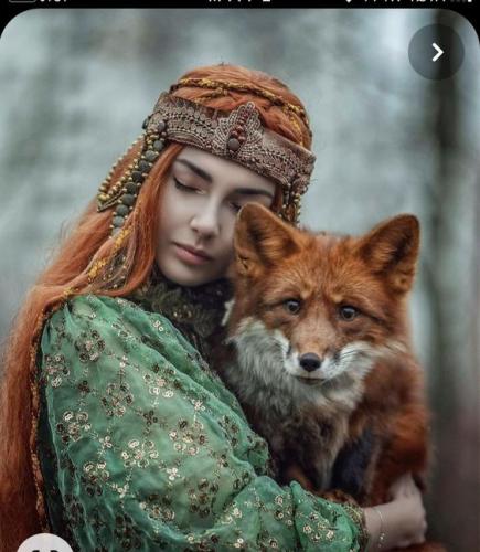 127d0b51edaa83a3c8c25535d150f150