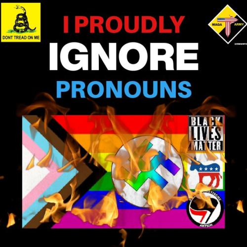 Pronouns 1