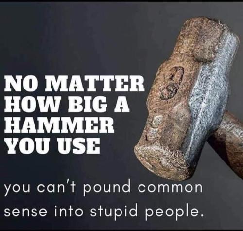 FB_IMG_1682331089121