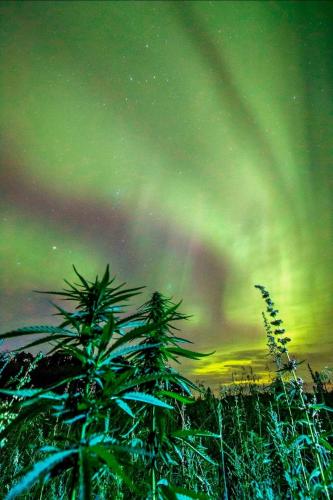 Screenshot_20230402_105208_Facebook