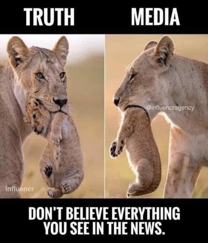 dont_believe_the_news_media_lies