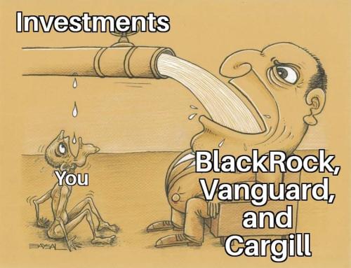 FB_IMG_1682519315522