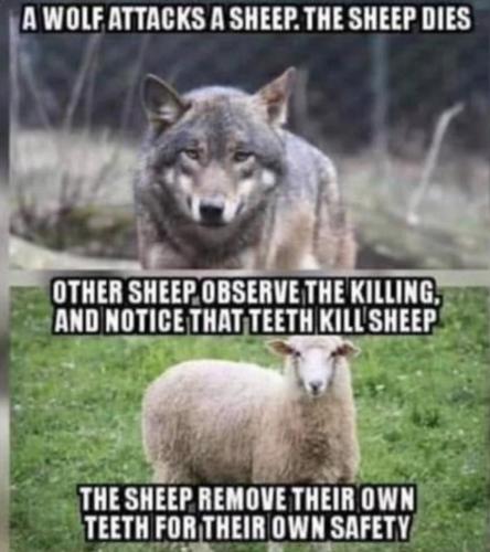 9b4c7a2b-e61d-43d2-a74a-1a891f847224