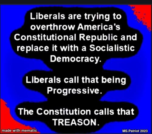 Screenshot_20230325_135125_Chrome