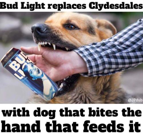 FB_IMG_1681181167955