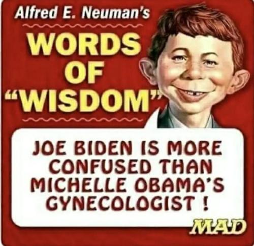 457ad3ba-2285-4ef0-baf0-a2052dbdd269