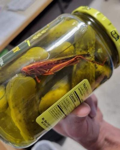 FB_IMG_1681058338060