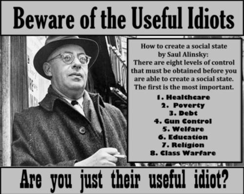 Useful Idiot 1