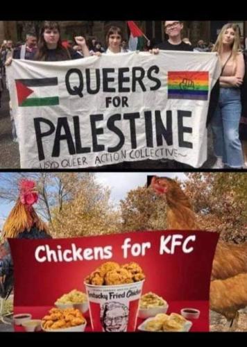 FB_IMG_1681055925478