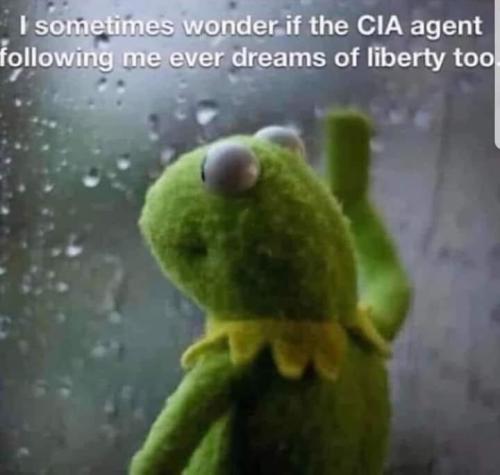 1682363084.348772