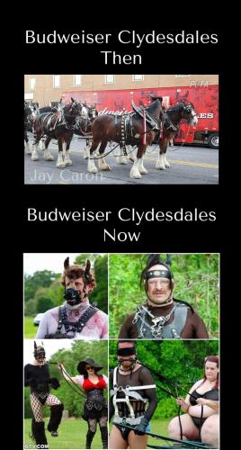 Budweiser Clydesdales Then and Now