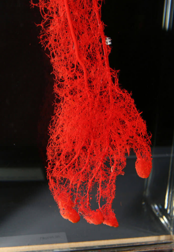 Screenshot_2023-04-09-22-48-04_kindlephoto-71289997