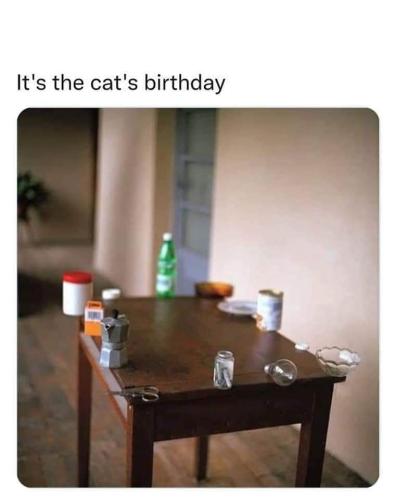 happy cat birthday