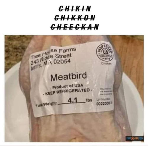 FB_IMG_1681229244058