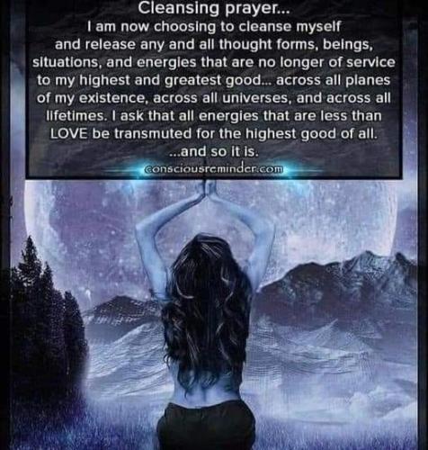 51cCp52jAWL._AC_AC_SR98,95_