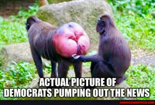 264C394B-5887-4A48-B617-575E29E4CF5D