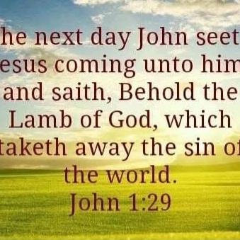 d8b8534e-eb54-46fe-9367-2a31577534ee