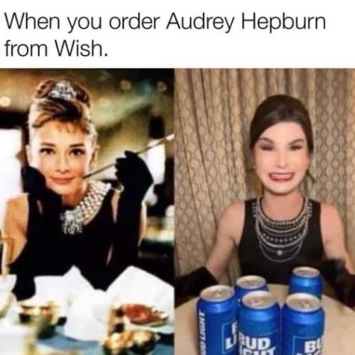 340659874_1427095438028053_4524923888724299155_n