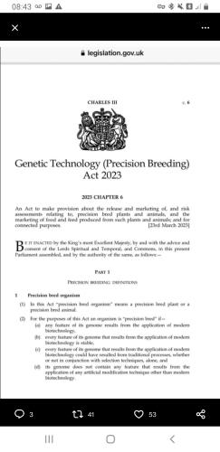 Screenshot_20230422-084336_Brave - Nightly