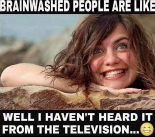 Brainwashed 2